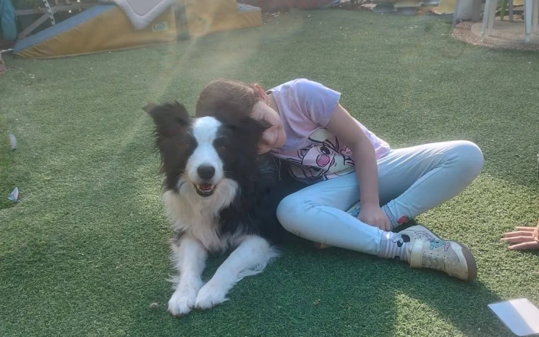 קייטנת פאנדוגס – פסח 2026